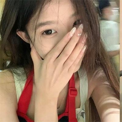 美国派:高潮再起